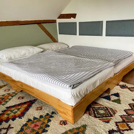 Apartment Dachwohnung In Charmanter Stadtvilla In