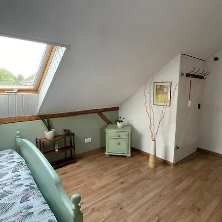 Apartment Dachwohnung In Charmanter Stadtvilla In