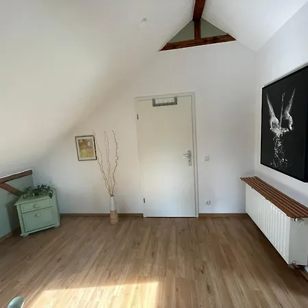 Dachwohnung In Charmanter Stadtvilla In ヴンストルフ
